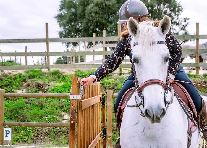 Casa de Férias Sleeps 8 With Pool & Horses *